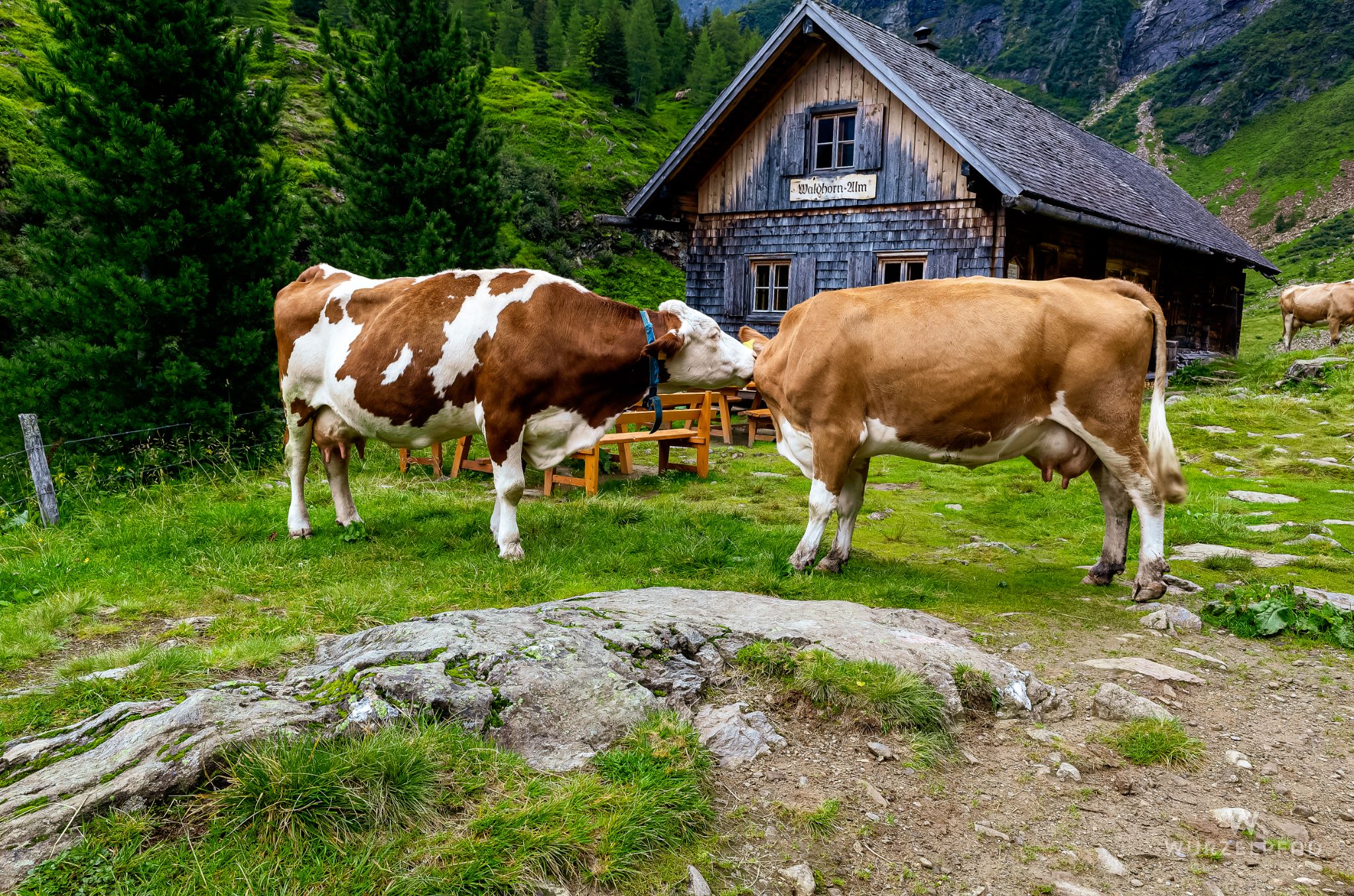 Morgendliches Anschlabbern